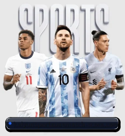 五大服务分区,信息按项目分类